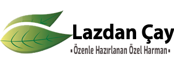 Logo Logo